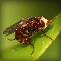 /album/poabracharka/photolia-a06-jpg/