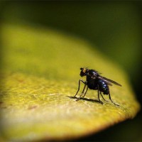 /album/poabracharka/photolia-a07-jpg/